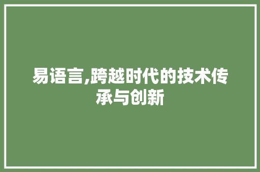 易语言,跨越时代的技术传承与创新
