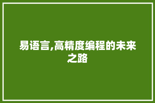 易语言,高精度编程的未来之路
