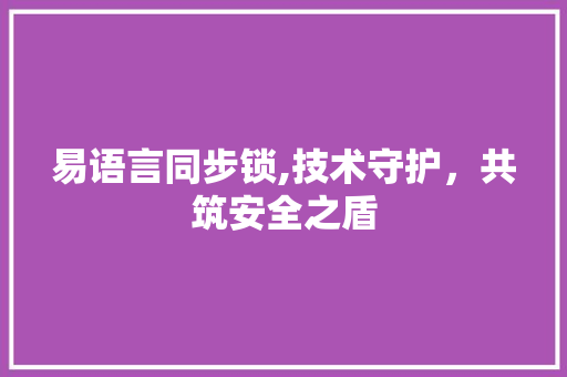 易语言同步锁,技术守护，共筑安全之盾