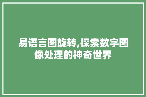 易语言图旋转,探索数字图像处理的神奇世界