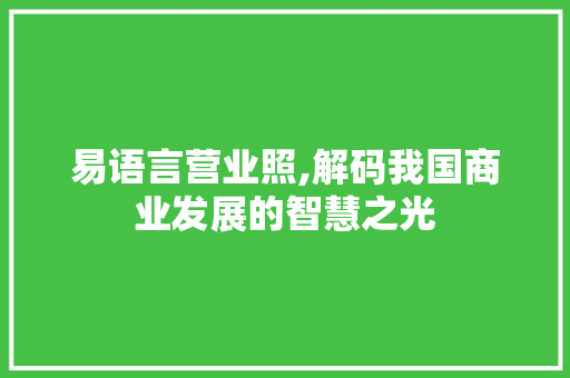 易语言营业照,解码我国商业发展的智慧之光