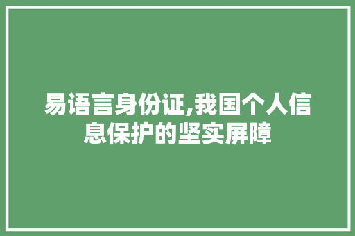 易语言身份证,我国个人信息保护的坚实屏障
