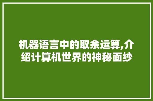 机器语言中的取余运算,介绍计算机世界的神秘面纱