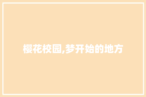 樱花校园,梦开始的地方