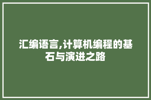 汇编语言,计算机编程的基石与演进之路