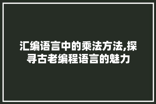汇编语言中的乘法方法,探寻古老编程语言的魅力
