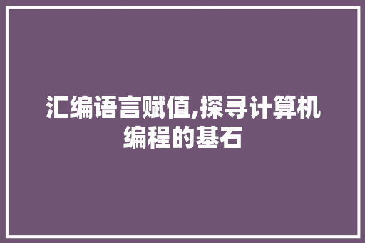 汇编语言赋值,探寻计算机编程的基石