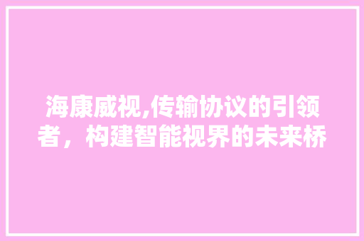 海康威视,传输协议的引领者，构建智能视界的未来桥梁