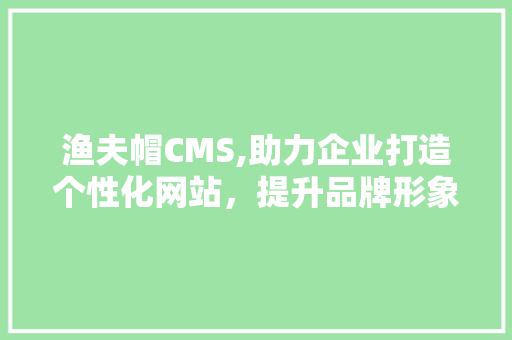 渔夫帽CMS,助力企业打造个性化网站，提升品牌形象