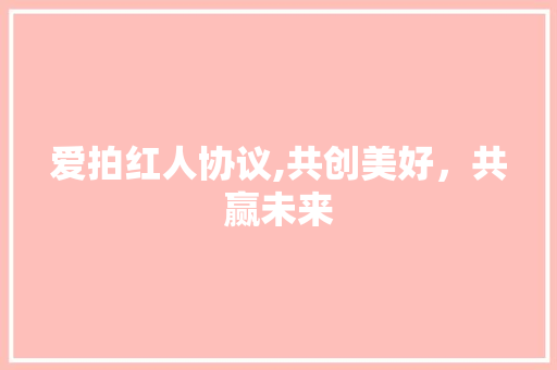 爱拍红人协议,共创美好，共赢未来