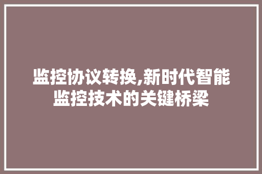 监控协议转换,新时代智能监控技术的关键桥梁