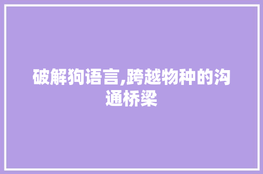 破解狗语言,跨越物种的沟通桥梁