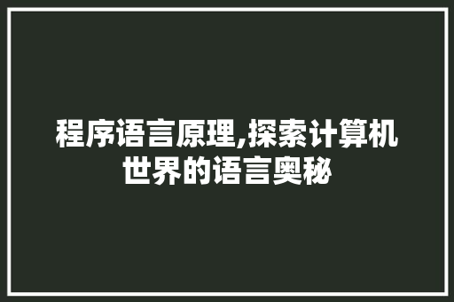 程序语言原理,探索计算机世界的语言奥秘