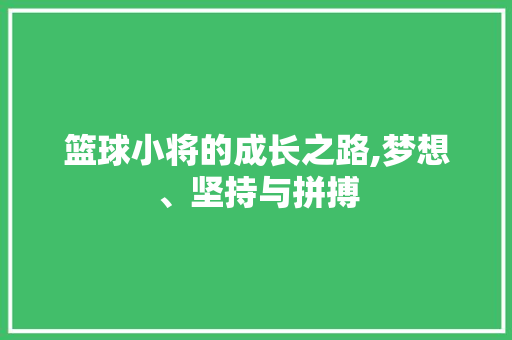篮球小将的成长之路,梦想、坚持与拼搏