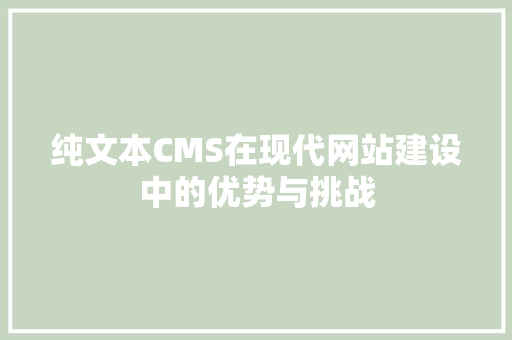 纯文本CMS在现代网站建设中的优势与挑战