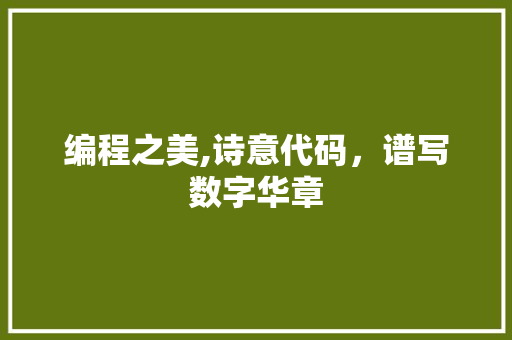 编程之美,诗意代码，谱写数字华章