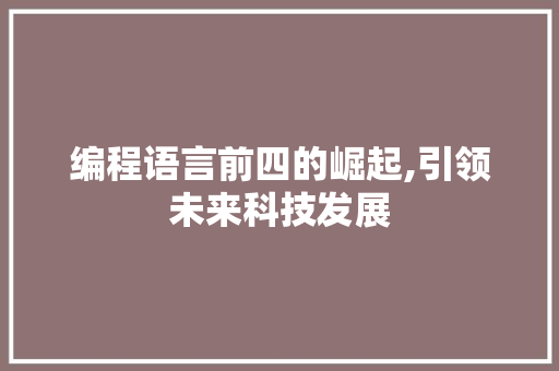 编程语言前四的崛起,引领未来科技发展