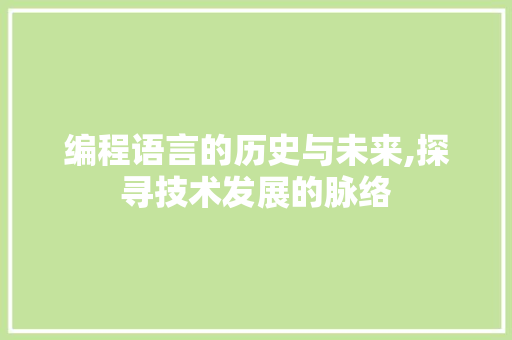 编程语言的历史与未来,探寻技术发展的脉络