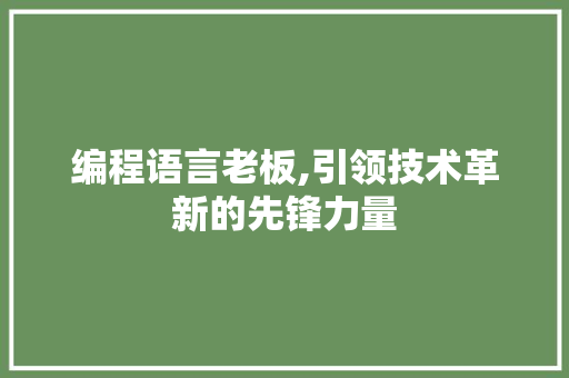 编程语言老板,引领技术革新的先锋力量