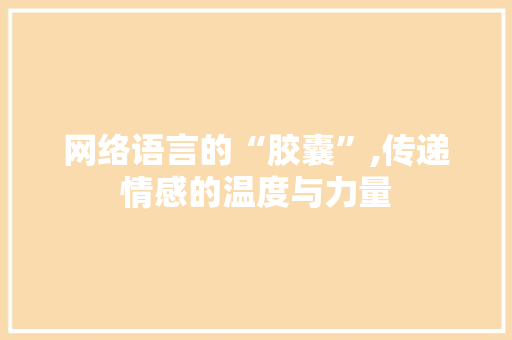 网络语言的“胶囊”,传递情感的温度与力量