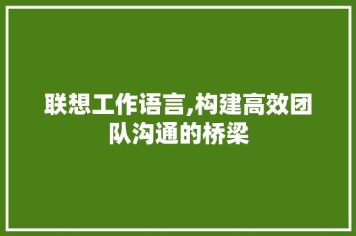联想工作语言,构建高效团队沟通的桥梁