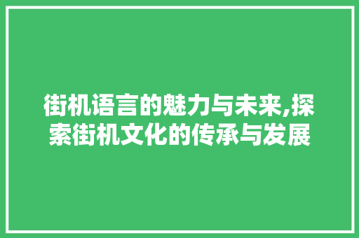 街机语言的魅力与未来,探索街机文化的传承与发展