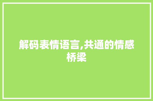 解码表情语言,共通的情感桥梁