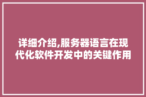 详细介绍,服务器语言在现代化软件开发中的关键作用