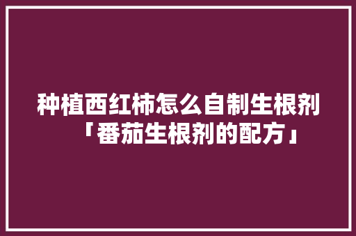 种植西红柿怎么自制生根剂「番茄生根剂的配方」