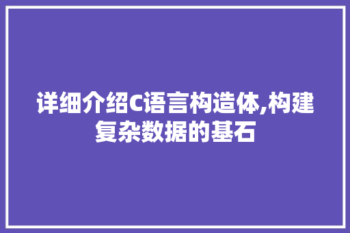 详细介绍C语言构造体,构建复杂数据的基石