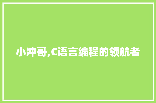 小冲哥,C语言编程的领航者