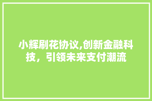 小辉刷花协议,创新金融科技，引领未来支付潮流