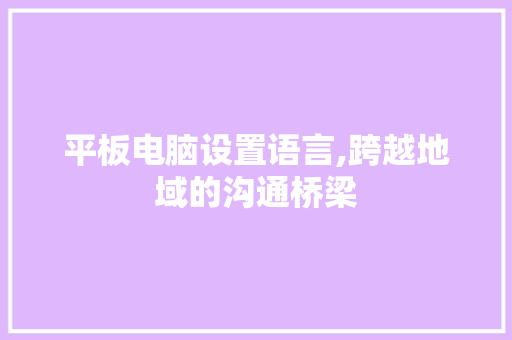 平板电脑设置语言,跨越地域的沟通桥梁