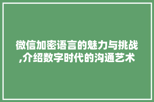 微信加密语言的魅力与挑战,介绍数字时代的沟通艺术