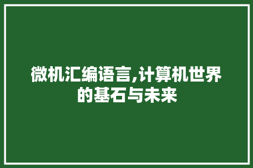 微机汇编语言,计算机世界的基石与未来