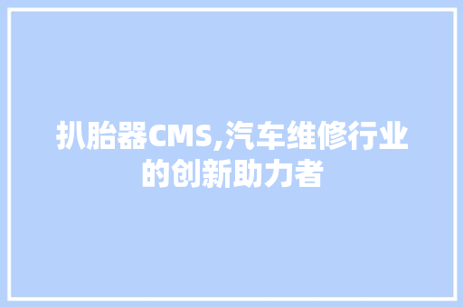 扒胎器CMS,汽车维修行业的创新助力者