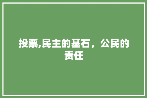 投票,民主的基石，公民的责任