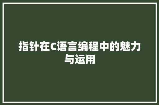指针在C语言编程中的魅力与运用