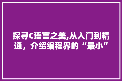 探寻C语言之美,从入门到精通，介绍编程界的“最小”奥秘