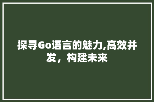 探寻Go语言的魅力,高效并发，构建未来