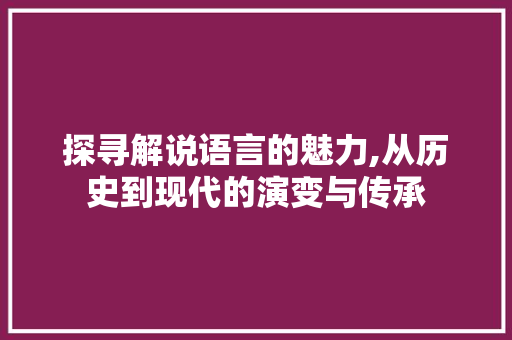 探寻解说语言的魅力,从历史到现代的演变与传承