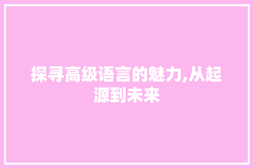 探寻高级语言的魅力,从起源到未来