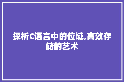 探析C语言中的位域,高效存储的艺术