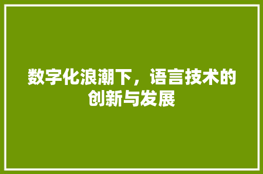 数字化浪潮下，语言技术的创新与发展