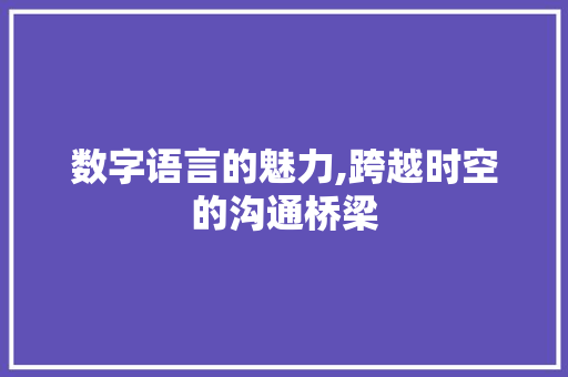 数字语言的魅力,跨越时空的沟通桥梁