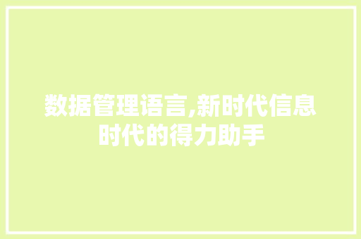 数据管理语言,新时代信息时代的得力助手