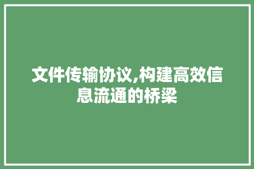 文件传输协议,构建高效信息流通的桥梁