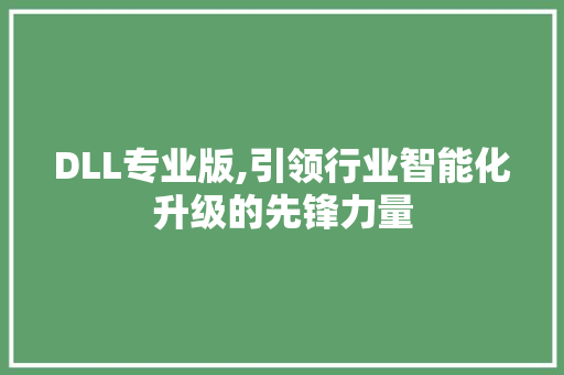 DLL专业版,引领行业智能化升级的先锋力量