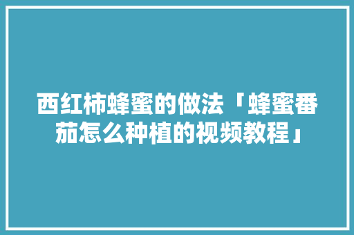西红柿蜂蜜的做法「蜂蜜番茄怎么种植的视频教程」