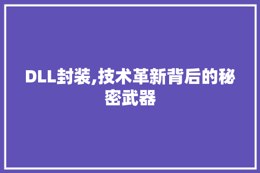 DLL封装,技术革新背后的秘密武器